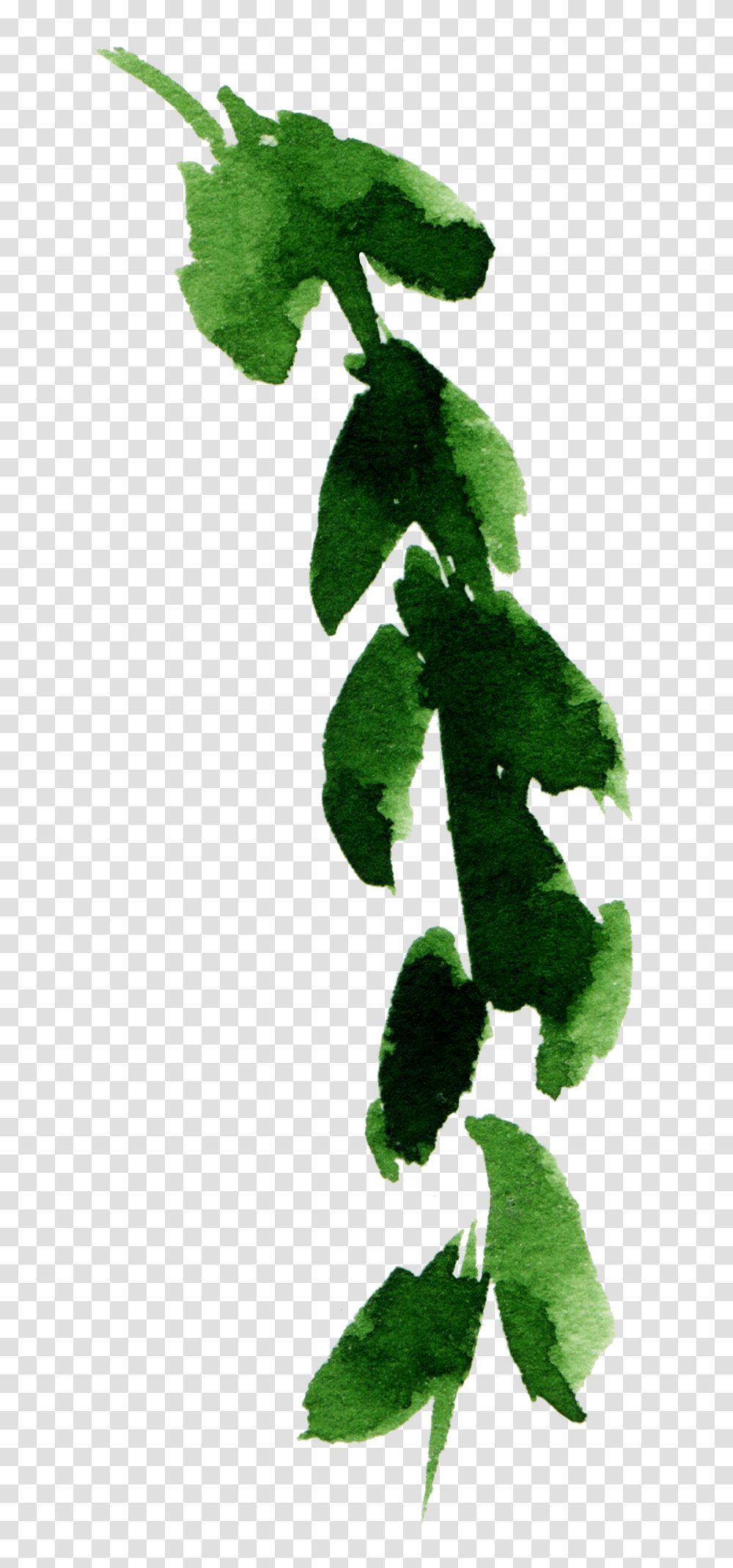 Green Watercolor Leaf Element Free Download Vector, Plant, Outdoors, Vine Transparent Png