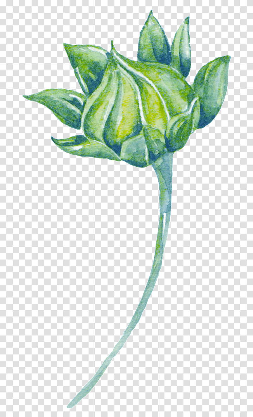 Green Watercolor Plant Cartoon Watercolor Plant, Leaf, Flower, Bird, Animal Transparent Png