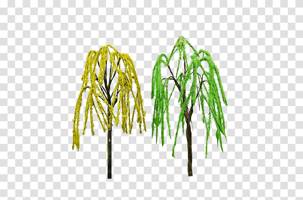 Green Weeping Willow Tree Architectural Mini Trees Model Train Ho, Plant, Root, Conifer, Vegetable Transparent Png