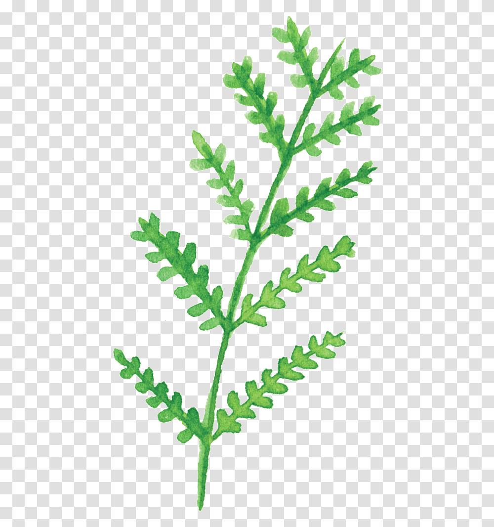 Green White Leaf Cartoon Download Leaf, Potted Plant, Vase, Jar, Pottery Transparent Png