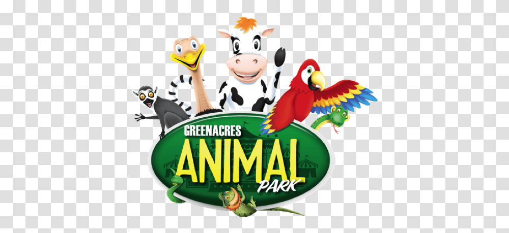 Greenacres Animal Park Animal Park Wales, Cow, Cattle, Mammal, Advertisement Transparent Png