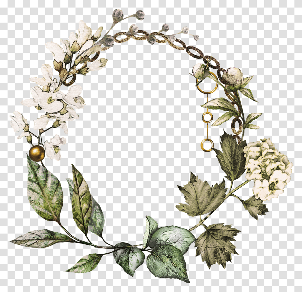 Greenery Vector Foliage Picture 1095691 Watercolor Silver Watercolour Wreath Clipart, Plant, Flower, Blossom, Leaf Transparent Png
