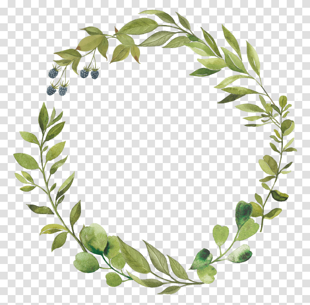 Greenery Wreath Clipart Leaf Wreath, Plant Transparent Png