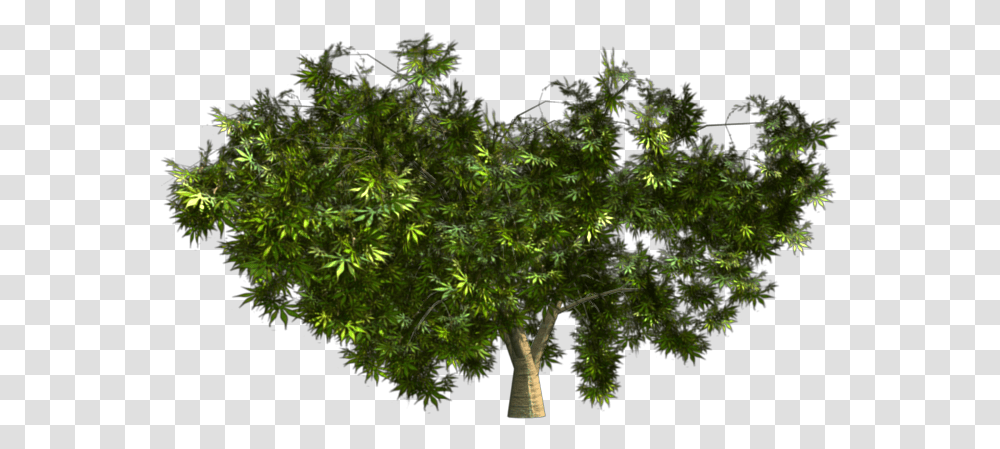 Greenhouse Blender For Architecture Plane, Tree, Plant, Leaf, Vegetation Transparent Png