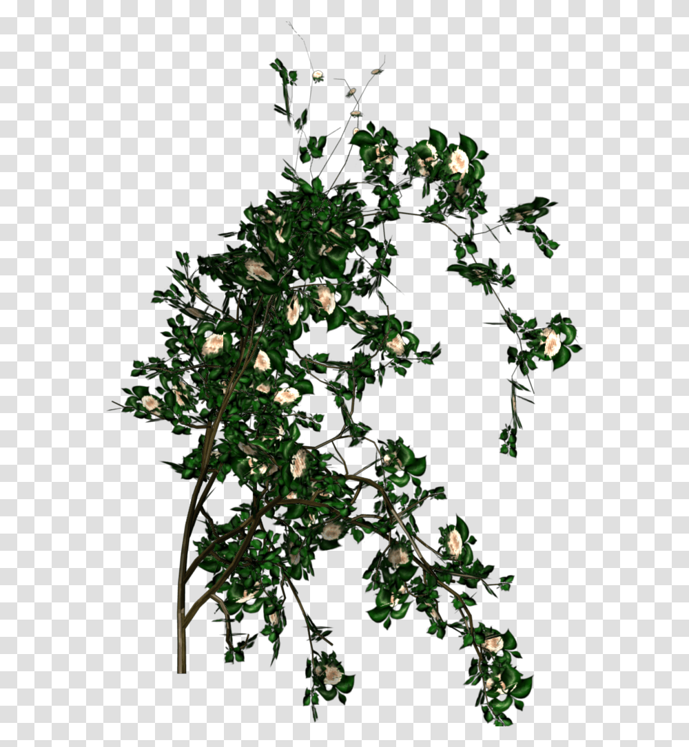 Greenhouse Blender For Architecture White Rose Bush, Plant, Acanthaceae, Flower, Interior Design Transparent Png