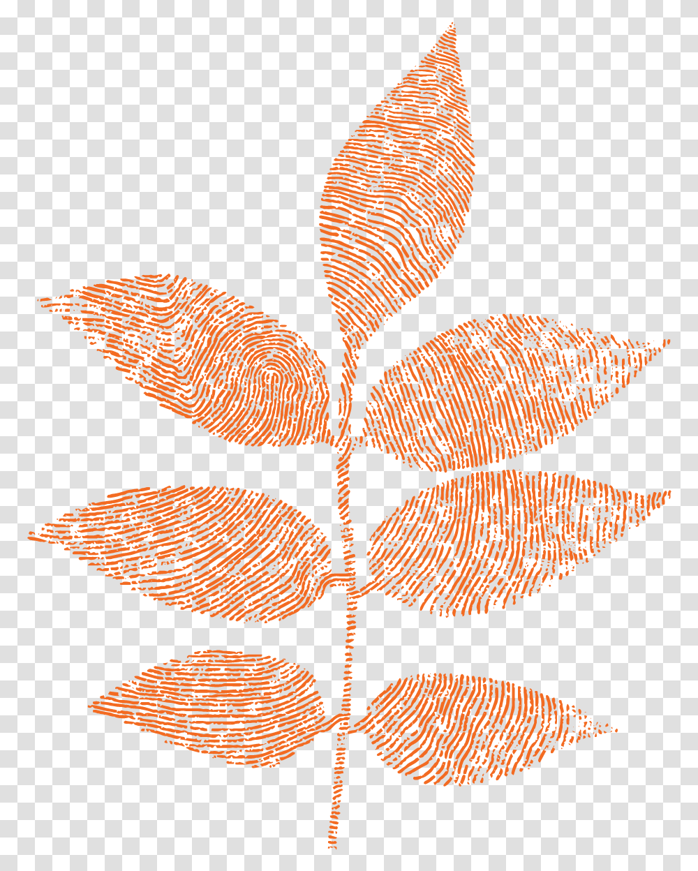 Greenhouse Brand Decorative, Leaf, Plant, Pattern, Bird Transparent Png
