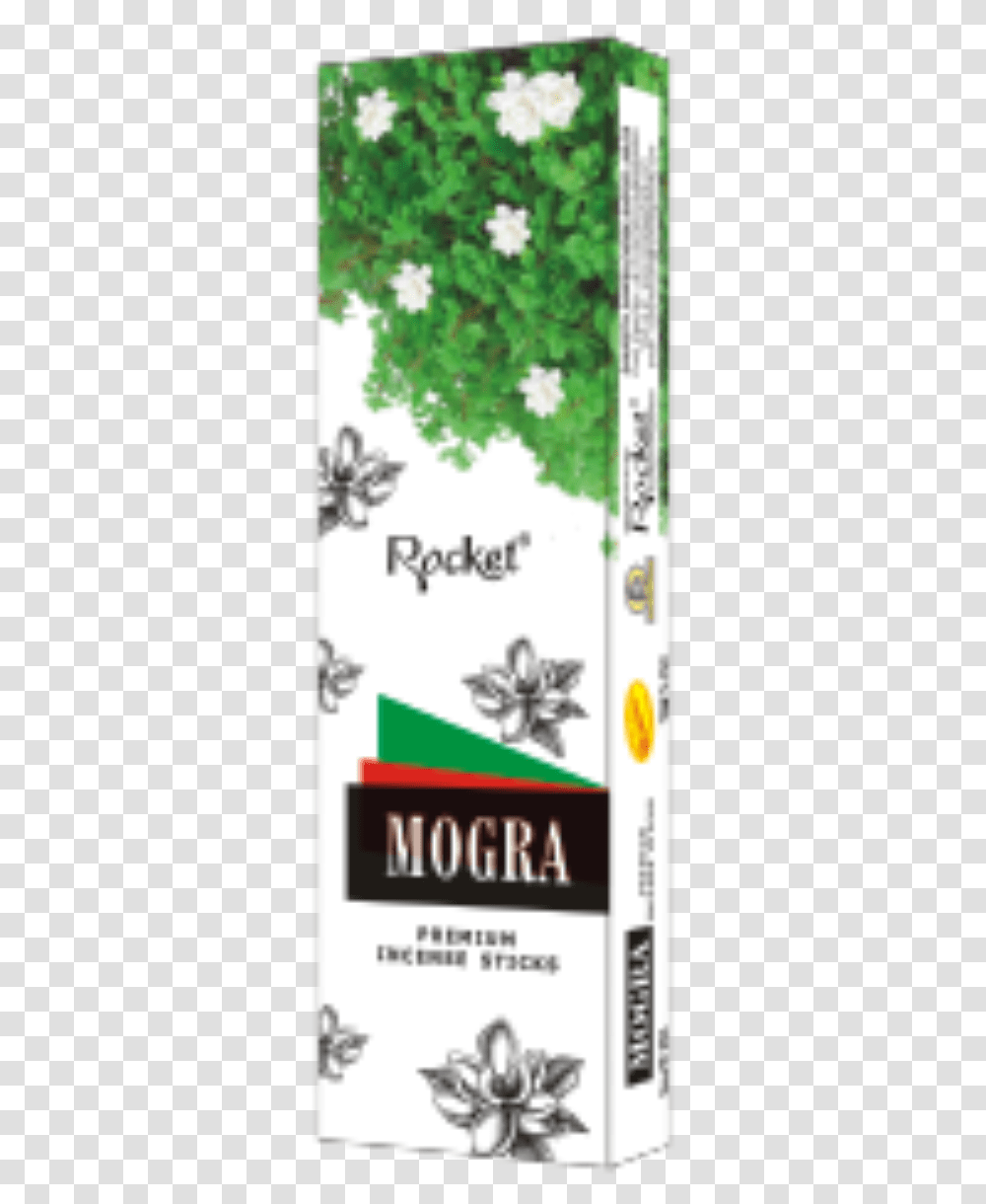 Greenmogra A Economybox Cow Parsley, Label, Paper, Poster Transparent Png