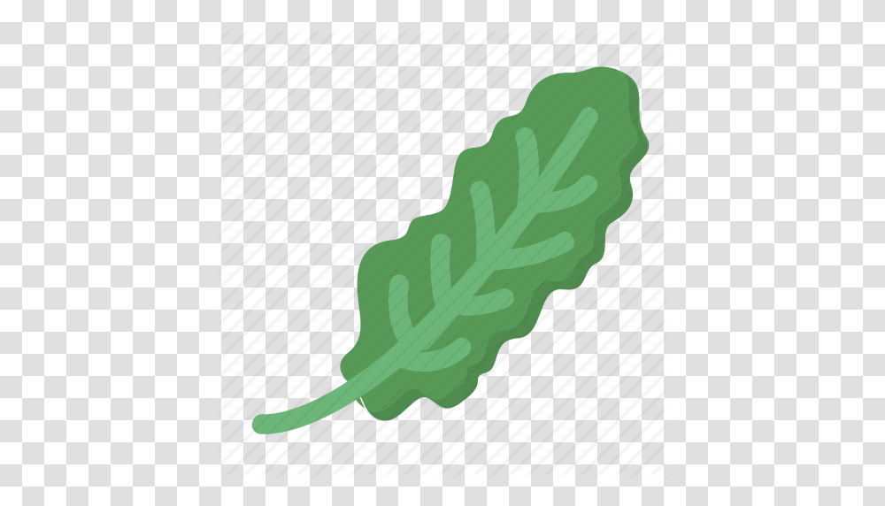Greens Healthy Kale Organic Salad Veggie Icon, Leaf, Plant, Vegetable, Food Transparent Png