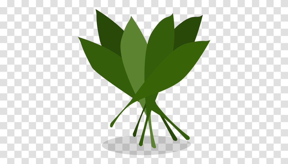 Greens Icon Myiconfinder Illustration, Plant, Leaf, Flower, Blossom Transparent Png