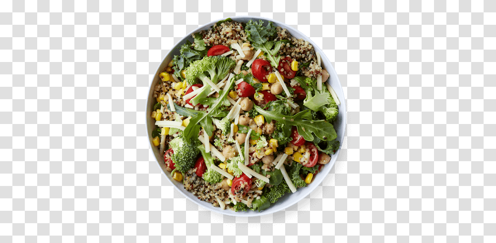 Greens & Ancient Grains Greens And Ancient Grains Salad, Plant, Meal, Food, Bowl Transparent Png