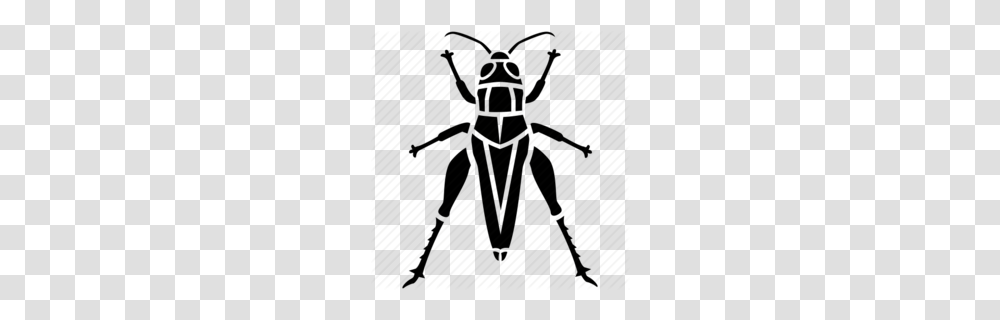 Greensboro Grasshoppers Clipart, Animal, Invertebrate, Insect, Spider Transparent Png