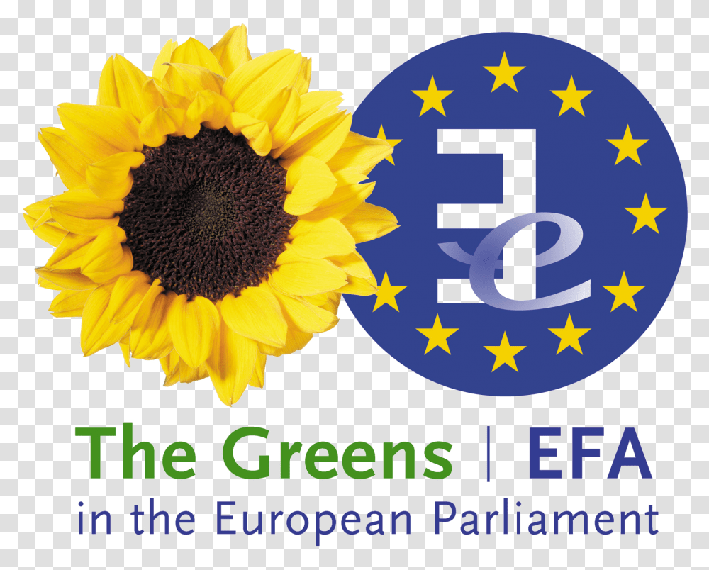 Greensefa Logo Green European Foundation Free Alliance, Text, Plant, Sunflower, Blossom Transparent Png