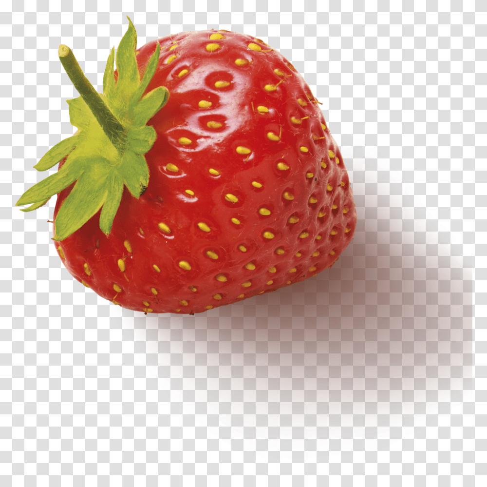Greentea Pomegranate Ingredient3 Strawberry Strawberry, Fruit, Plant, Food, Fungus Transparent Png