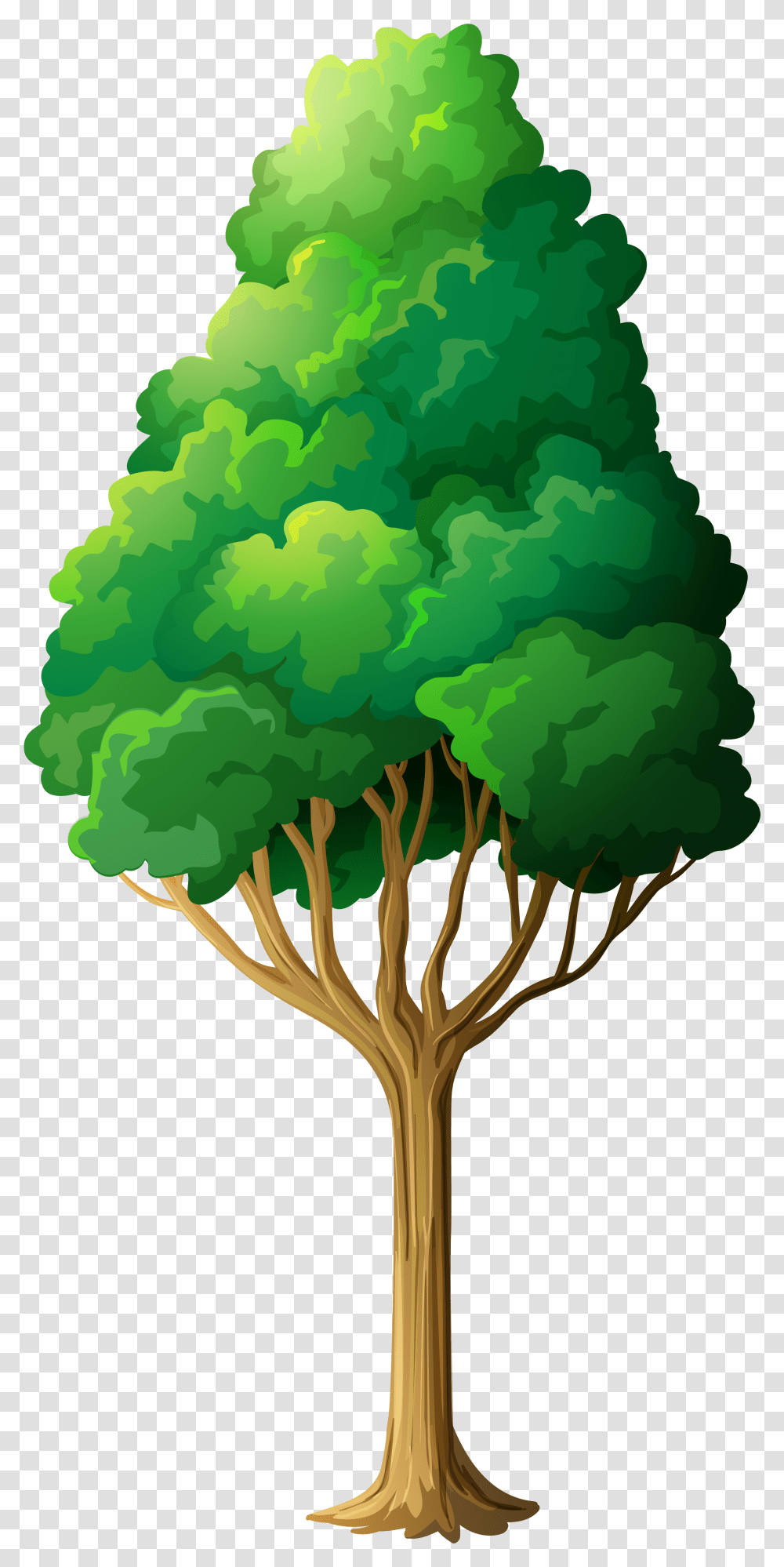 Greentree Clip Free Stock Files Clipart Tree, Plant, Vegetable, Food, Broccoli Transparent Png