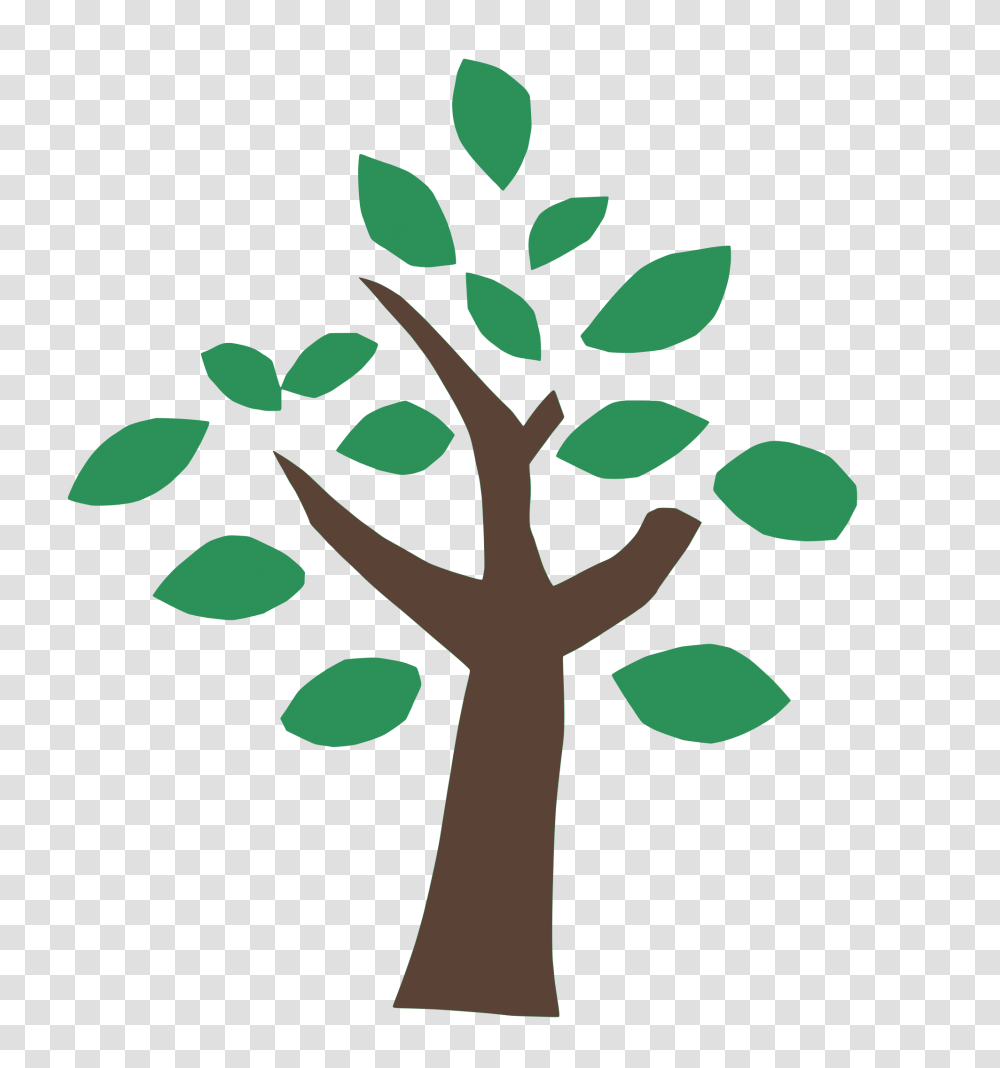 Greentree, Plant, Cross, Leaf Transparent Png