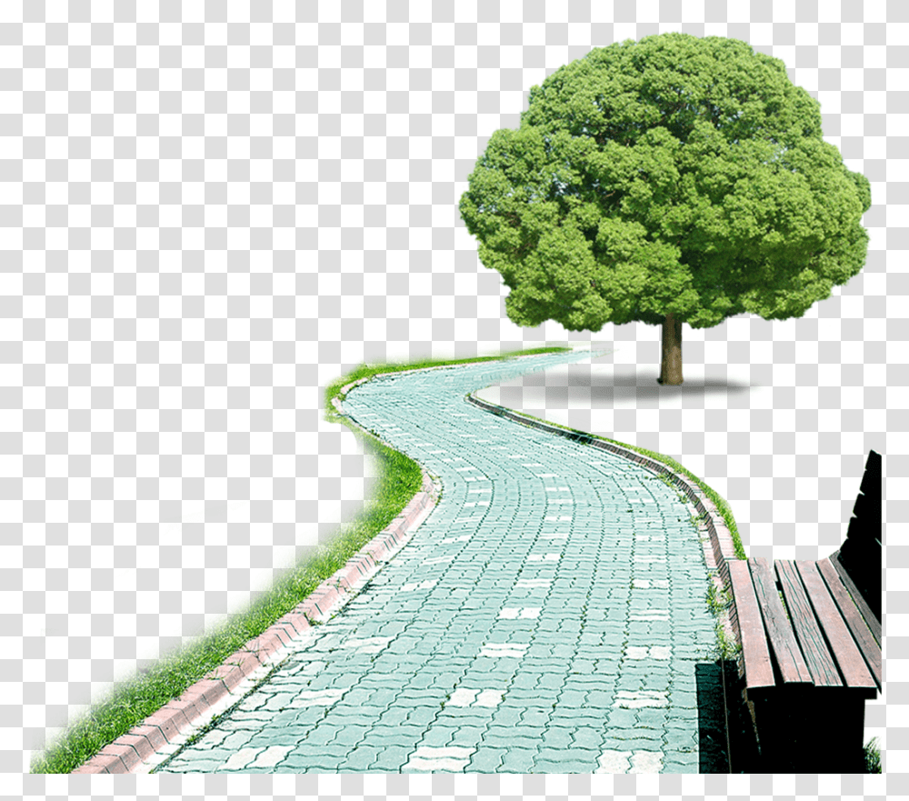 Greentreenatural Landscapewoody Plantplanturban Prema Kavali 2011 Telugu, Path, Walkway, Sidewalk, Flagstone Transparent Png