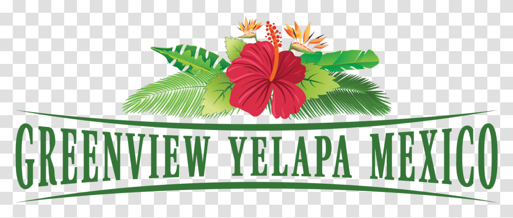 Greenview Yelapa Mexico Rentals Logo Hawaiian Hibiscus, Plant, Floral Design Transparent Png