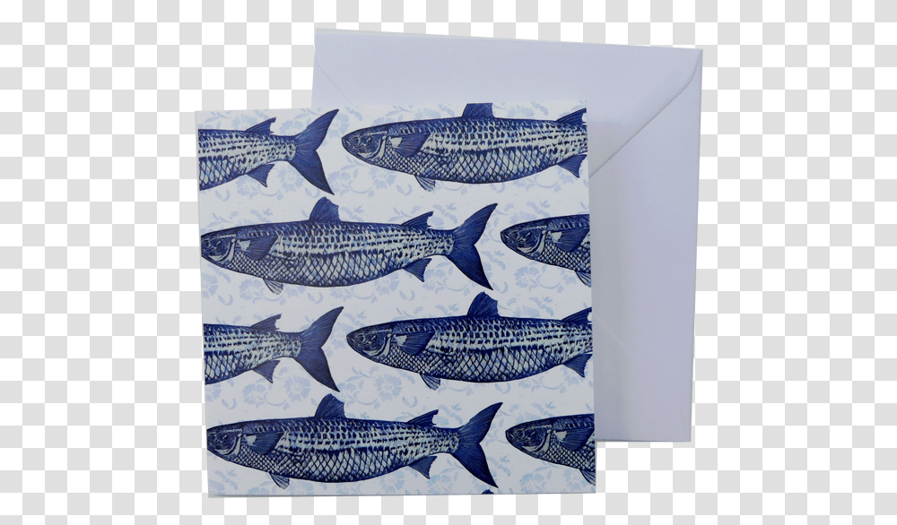Greeting Card And Envelope Blue And White Fish Print Whale Shark, Animal, Carp, Herring Transparent Png