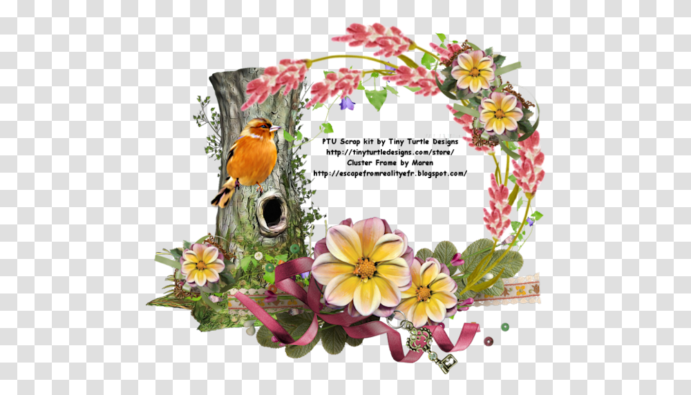 Greeting Card, Bird, Animal Transparent Png