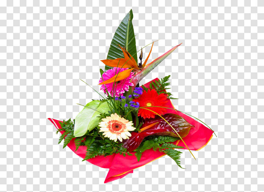 Greeting Flowers, Plant, Ikebana, Vase Transparent Png