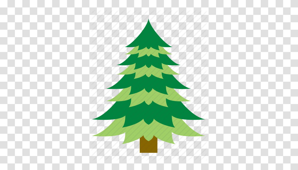 Greetings Trees Decorations & Other' By Beguima Christmas Tree, Plant, Ornament, Pattern, Star Symbol Transparent Png