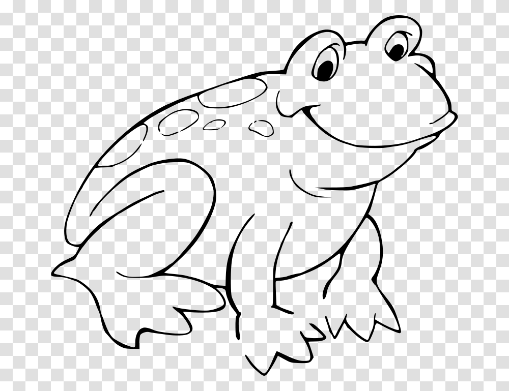 Grenouille, Animals, Gray, World Of Warcraft Transparent Png