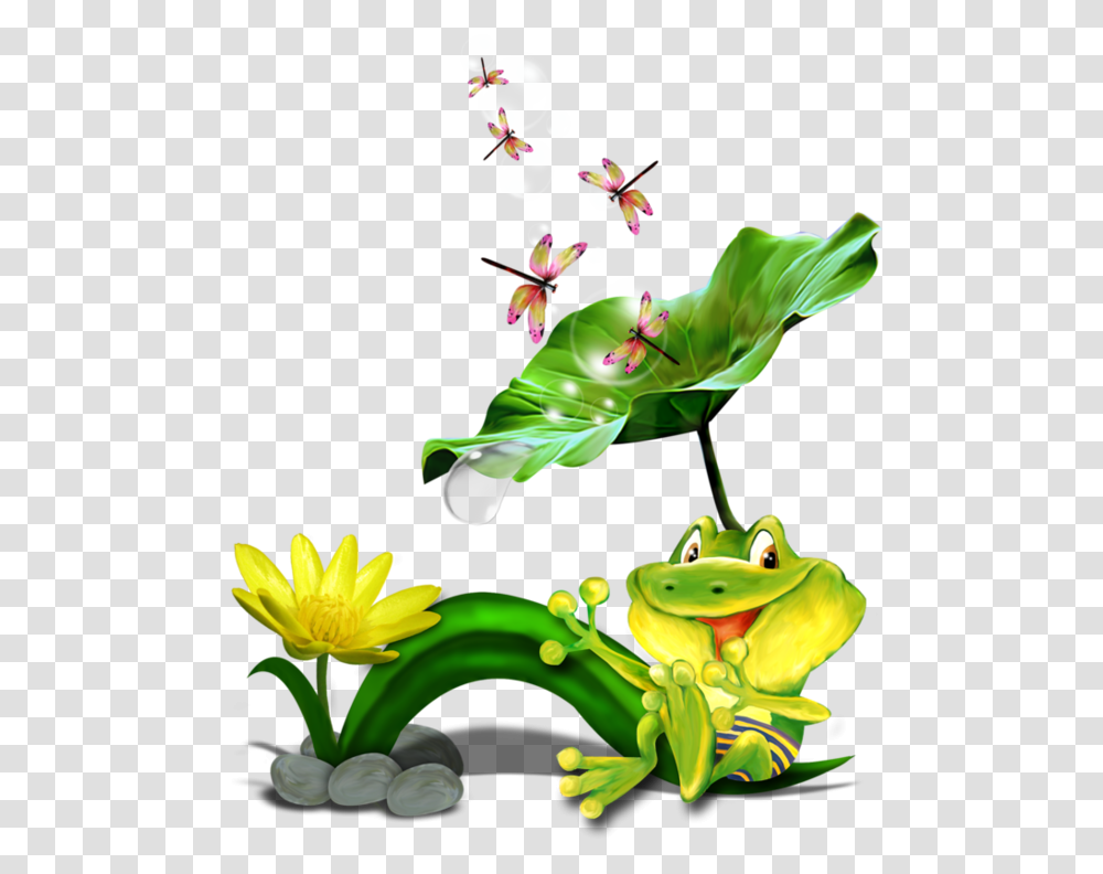 Grenouillesfrogtube Animal Drawings Frogs Clip, Plant, Flower, Blossom, Amphibian Transparent Png