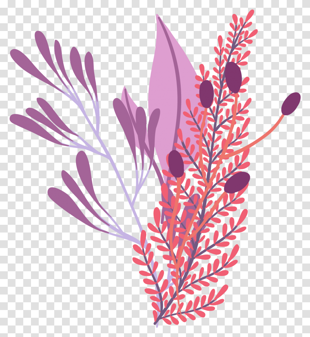 Grevillea, Plant, Flower, Floral Design, Pattern Transparent Png
