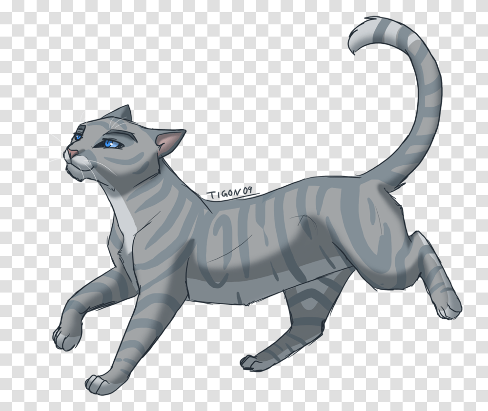 Grey Cat With Blue Eyes Clipart Silverstream Warrior Cat, Animal, Mammal Transparent Png