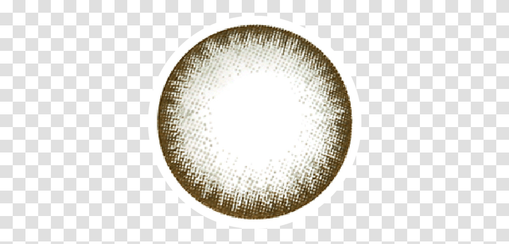 Grey, Ceiling Light, Light Fixture, Wasp, Bee Transparent Png