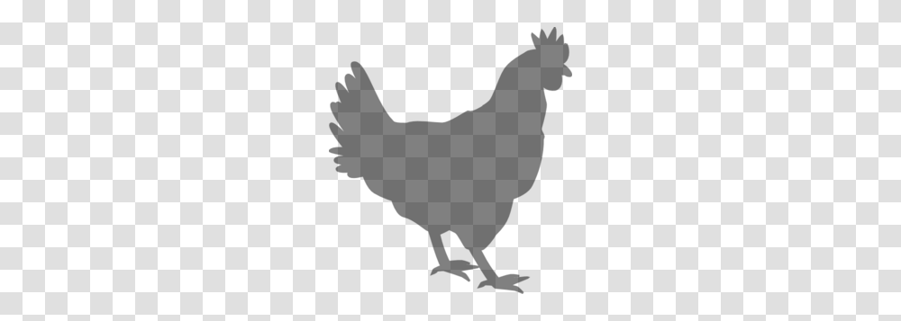 Grey Chicken Clip Art, Gray, World Of Warcraft Transparent Png