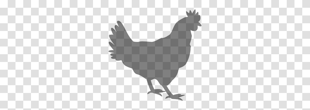 Grey Chicken Clip Arts For Web, Gray, World Of Warcraft Transparent Png