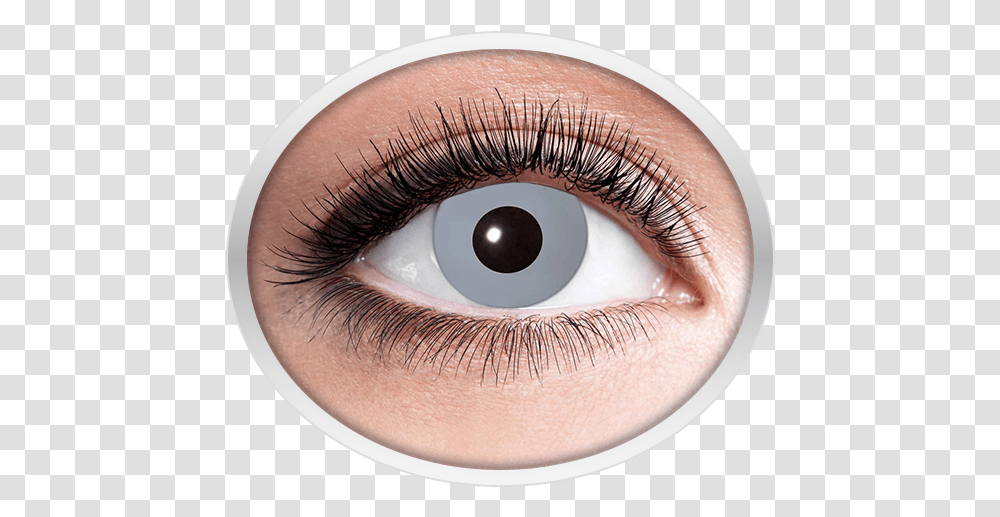 Grey Contact Lenses Eyes Lens Golden, Person, Human Transparent Png