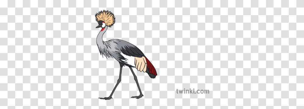 Grey Crowned Crane National Bird Of Uganda Bird, Animal, Crane Bird, Stork, Waterfowl Transparent Png