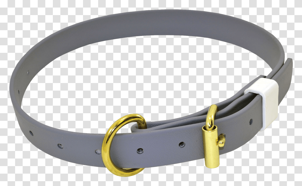 Grey Dog Collar Gold Metal Belt And Dog Collar Background, Accessories, Accessory, Buckle, Bracelet Transparent Png