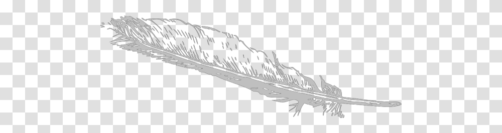 Grey Feather Clip Art Feather Clip Art, Nature, Outdoors, Sport, Water Transparent Png