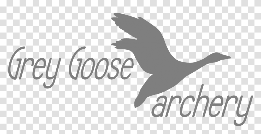 Grey Goose Archery California Sea Lion, Animal, Sea Life, Mammal Transparent Png