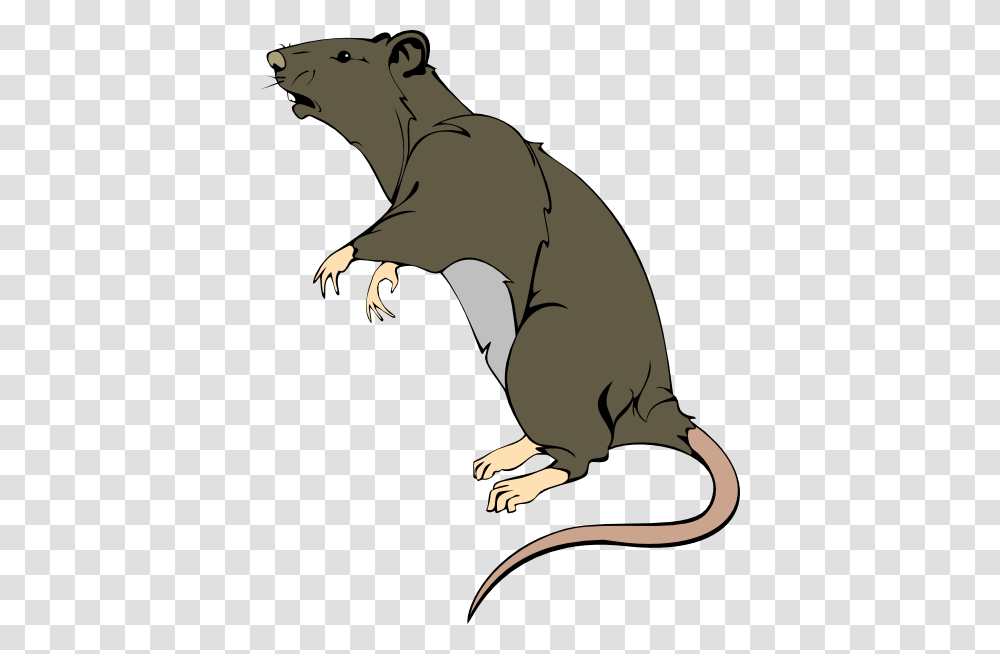 Grey Greedy Rat Clip Art, Animal, Dinosaur, Reptile, Mammal Transparent Png