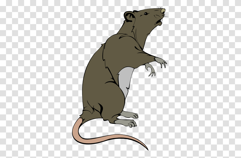 Grey Greedy Rat Clip Art, Animal, Mammal, Reptile, Dinosaur Transparent Png