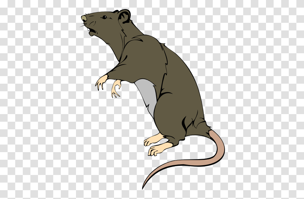 Grey Greedy Rat Clip Arts For Web, Animal, Dinosaur, Reptile, Mammal Transparent Png