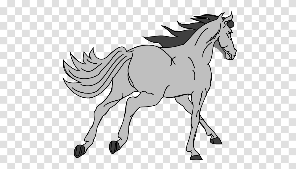 Grey Horse Clip Arts For Web, Mammal, Animal, Foal, Colt Horse Transparent Png