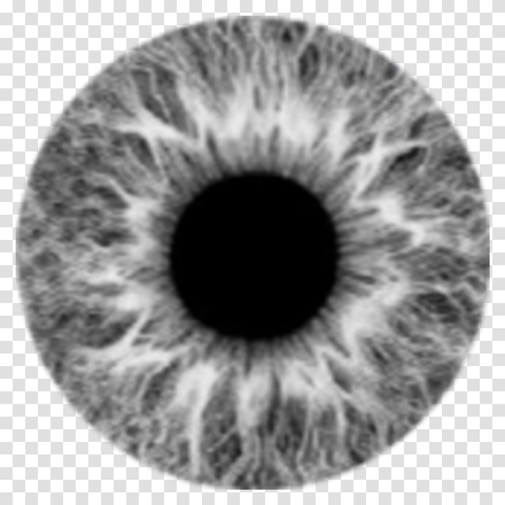 Grey Lens Eye Eyes Moon Gri Lens Gz Gray Eye Lens, Photography, X-Ray, Medical Imaging X-Ray Film, Ct Scan Transparent Png