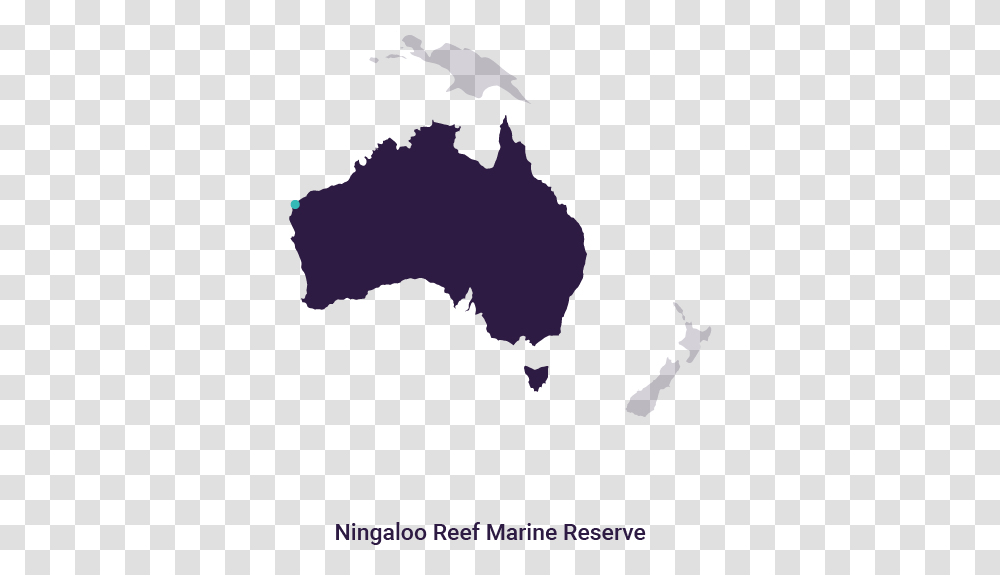 Grey Map Of Australia, Mammal, Animal, Bat, Wildlife Transparent Png
