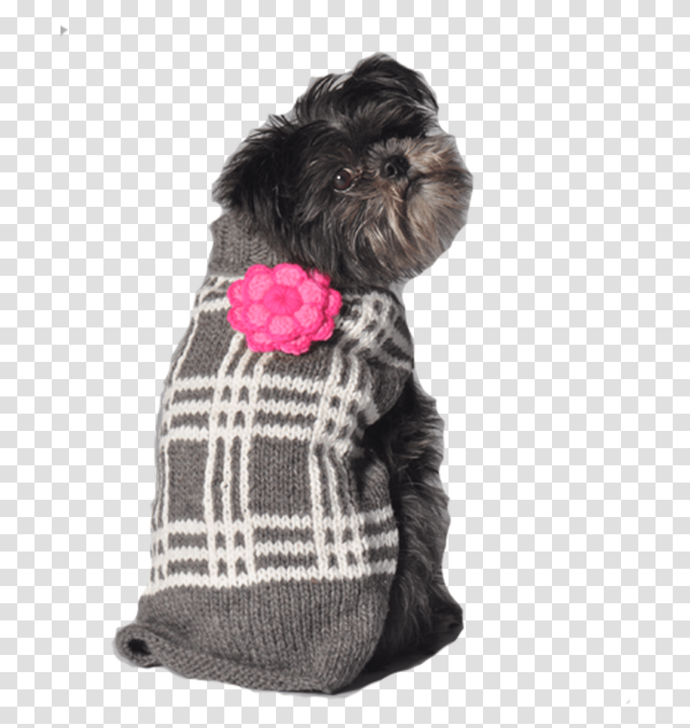 Grey Plaid Flower Dog Sweater Girly Dog Sweaters, Pet, Animal, Canine, Mammal Transparent Png