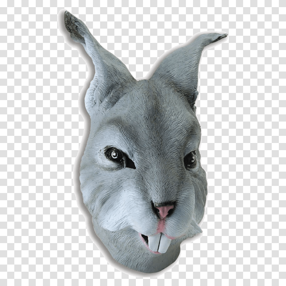 Grey Rabbit Mask Rabbit Mask, Mammal, Animal, Head, Pig Transparent Png