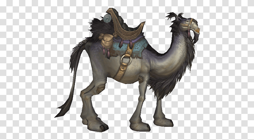Grey Riding Camel Title The Hoarder Working Animal, Horse, Mammal, Reptile Transparent Png