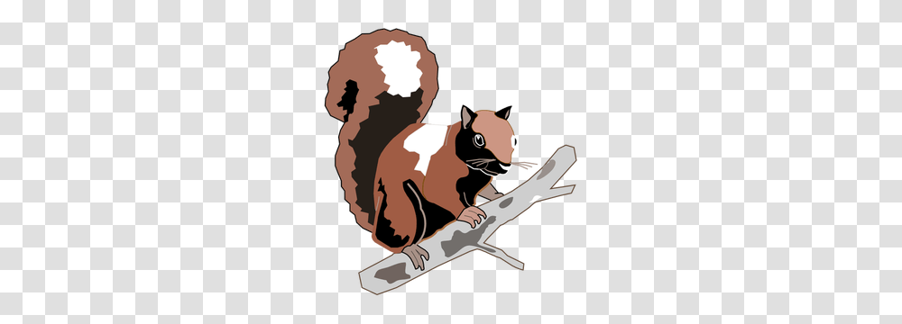 Grey Squirrel Clipart, Mammal, Animal, Rodent, Person Transparent Png
