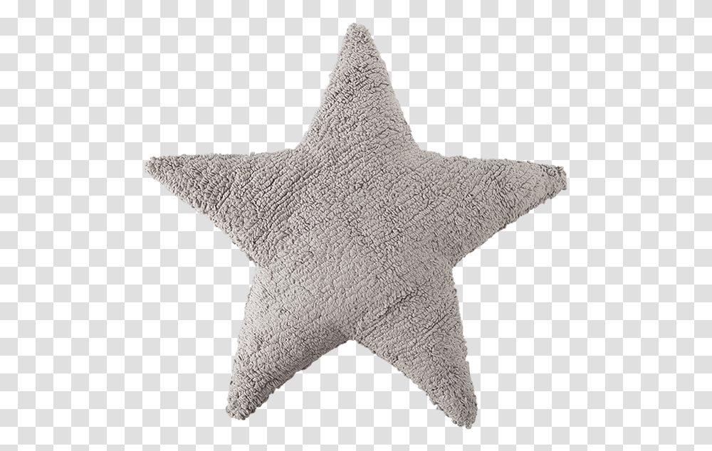 Grey Star Cushions, Sea Life, Animal, Invertebrate, Sweater Transparent Png