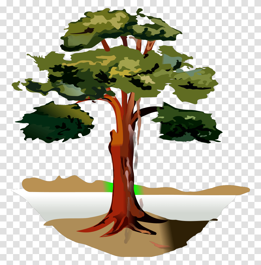 Grey Tree Svg Clip Arts Download Download Clip Art Cartoon Eucalyptus Trees, Plant, Vegetation, Conifer, Oak Transparent Png