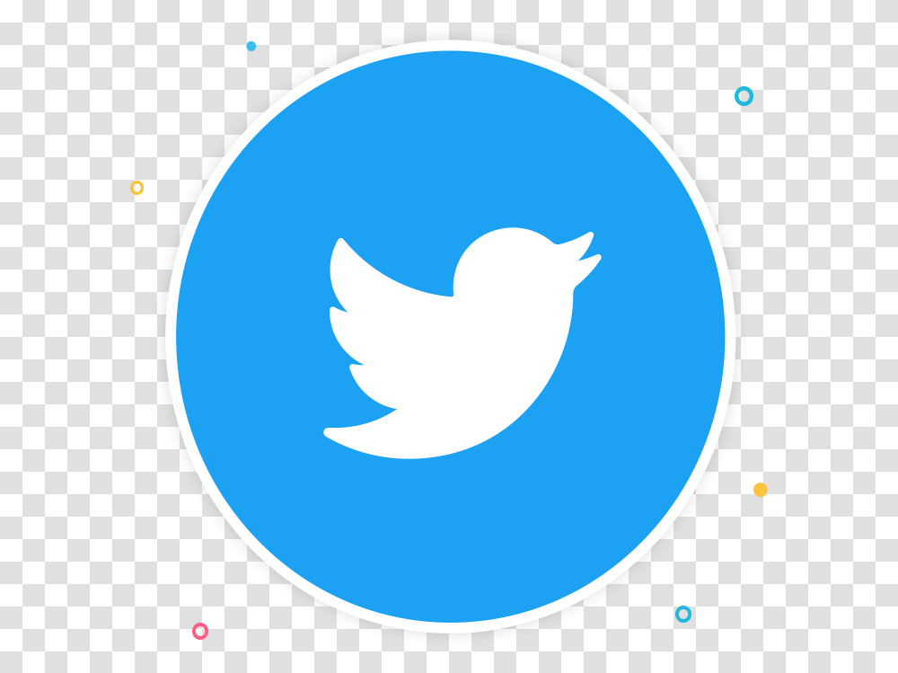 Grey Twitter Icon For Website, Animal, Logo, Bird Transparent Png